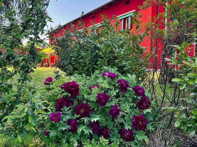Villa Indipendente in vendita a Piemonte, Asti