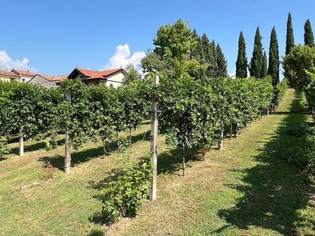 Villa Indipendente in vendita a Campello Sul Clitunno, Umbria