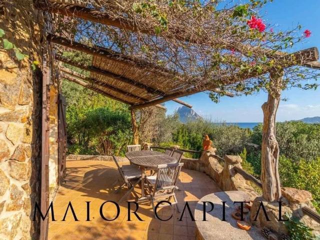 Villa Schiera in vendita a Porto San Paolo, Sardigna/Sardegna