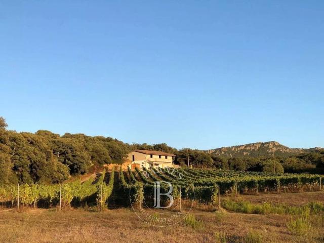 Appartamento in vendita a Monte, Sardigna/Sardegna