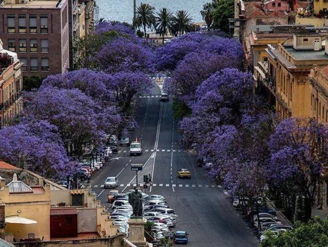 Appartamento in vendita a Cagliari, Sardigna/Sardegna