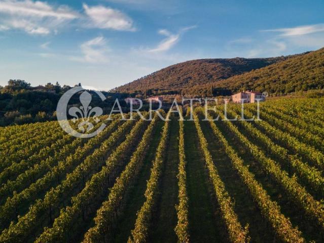Rustico in vendita a Castelnuovo Berardenga, Toscana