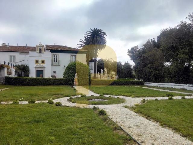 Loja venda em Elvas, Portalegre