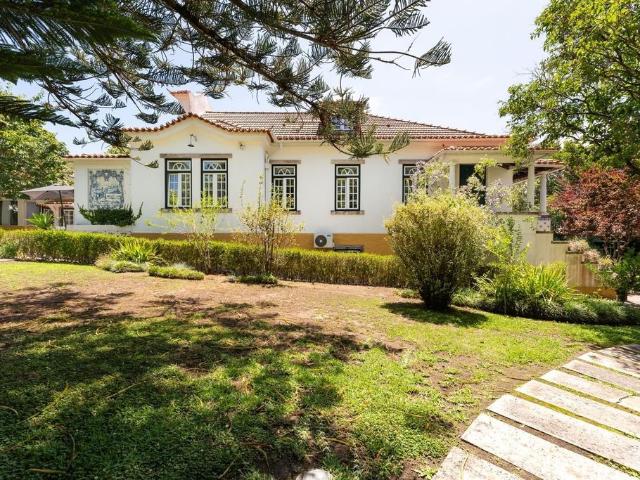 Loja venda em Sintra, Lisboa