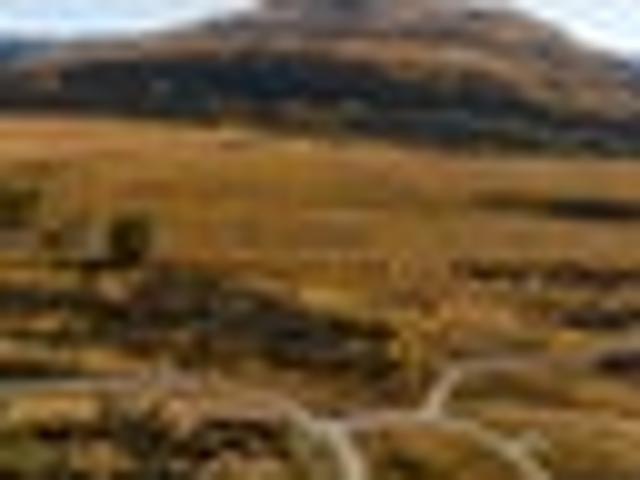 Land for sale in Otakou