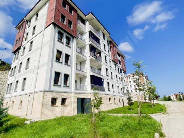 Düz Mahallesi, Perşembe içerisinde satılık mülk