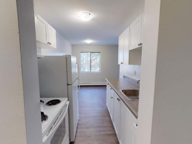 Apartment for rent in Arva, Ontario