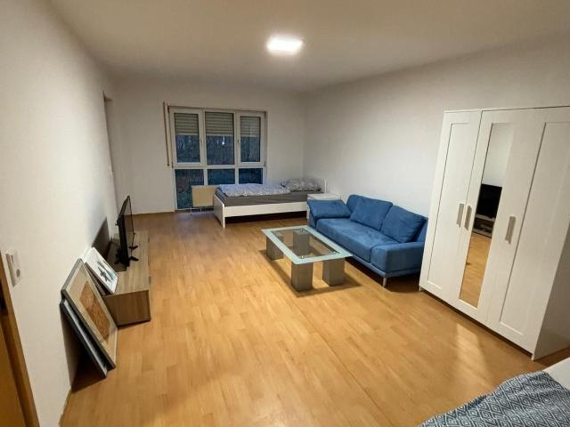 Apartment mieten in Bieber, Hessen