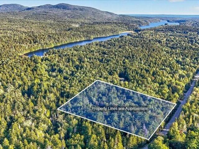 Land for sale in Tremont, Hancock County