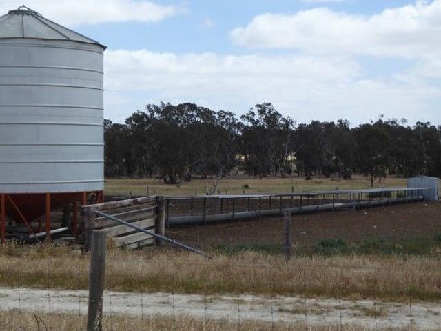 Acreage for sale in Frances, South Australia