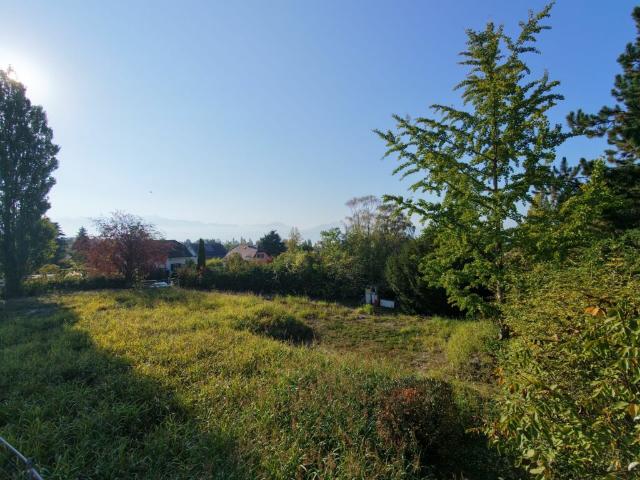 Immobilie kaufen in Préverenges, District de Morges
