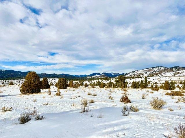 Land for sale in Butte, Montana