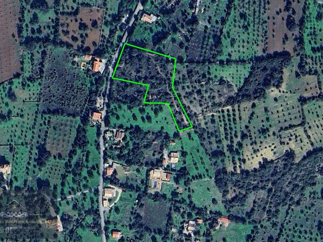 Terreno venda em São Brás De Alportel, Faro