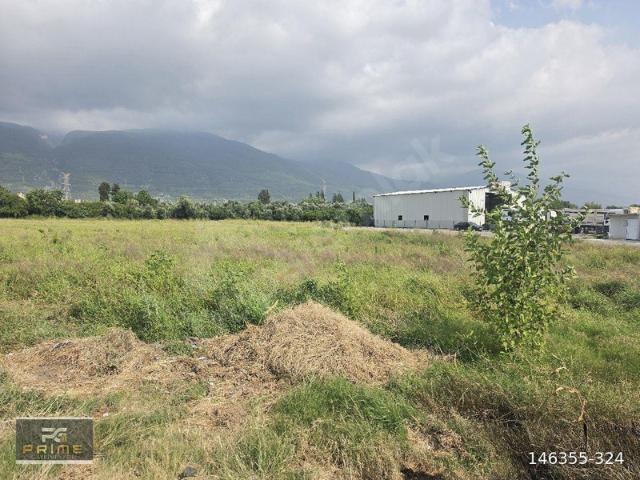 Özerli, Dörtyol içerisinde satılık Dükkan