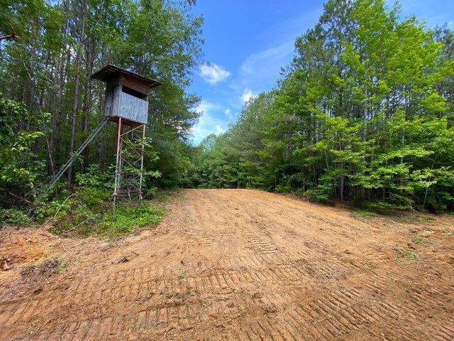 Land for sale in Gordo, Alabama