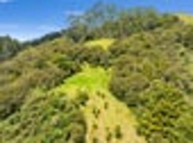 Land for sale in Fairburn, Northland
