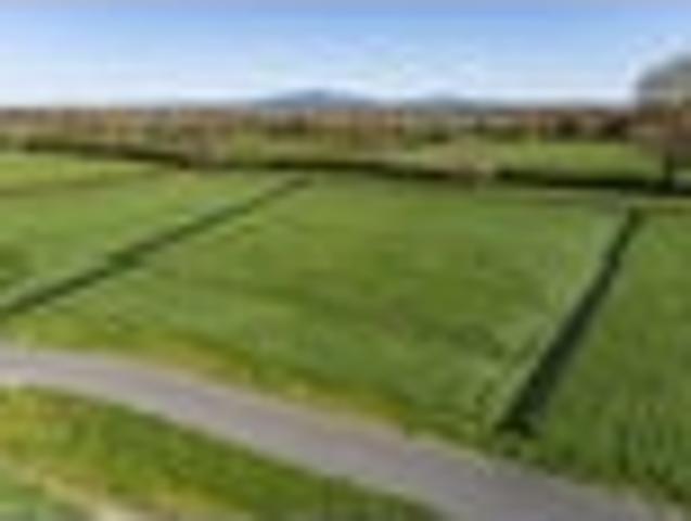 Land for sale in Matamata, Waikato
