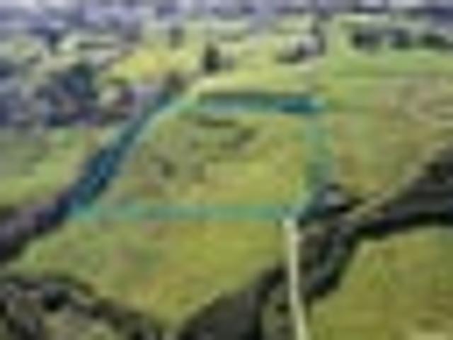 Land for sale in Kawau Island