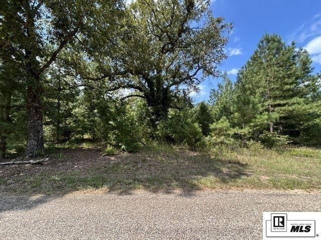 Land for sale in Lillie, Louisiana