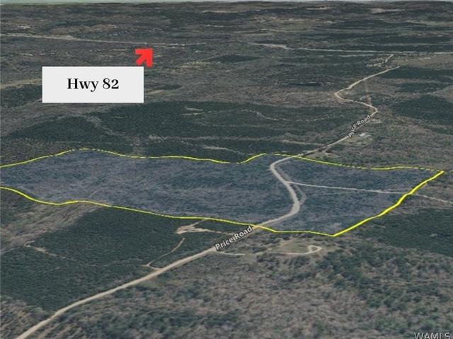 Land for sale in Reform, Alabama