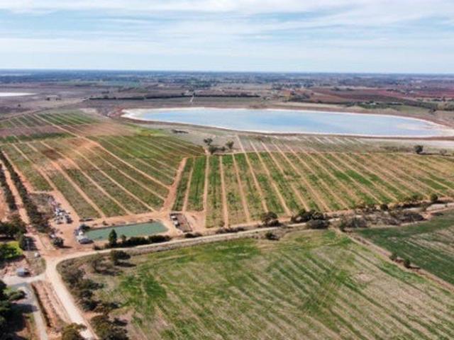 Property for sale in Woorinen North, Victoria