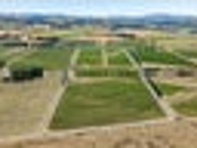 House for sale in Waipara, Canterbury