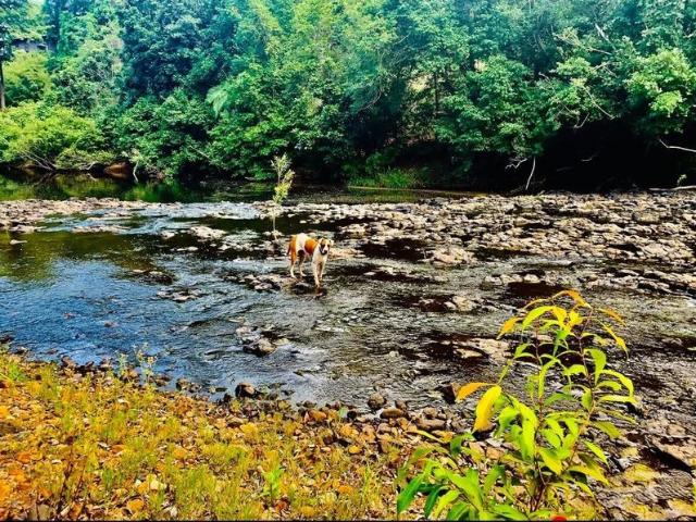 Land for sale in Cooktown, Queensland