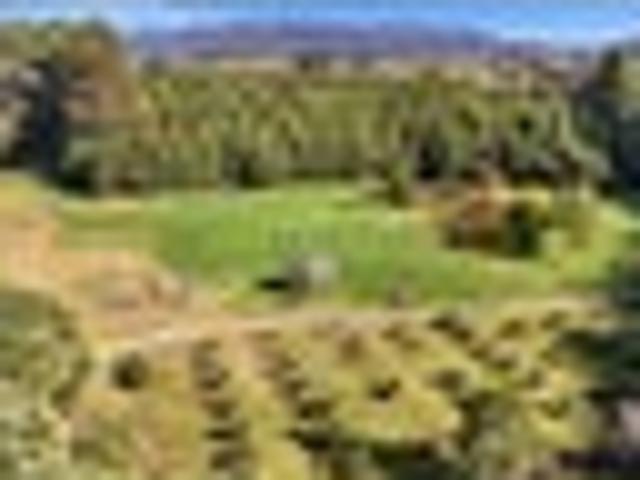 Land for sale in Western Bay of Plenty District, Bay of Plenty