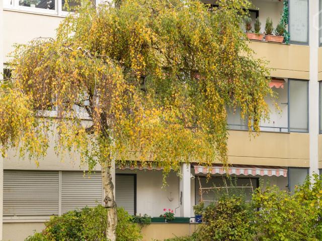 Apartment mieten in Lindenthal, Köln