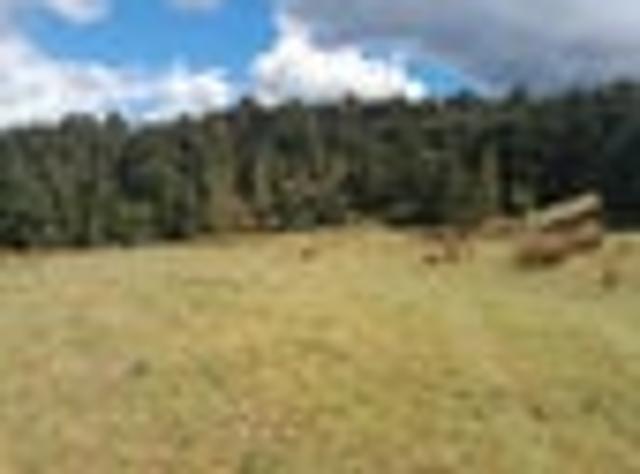 Land for sale in Karetu, Northland