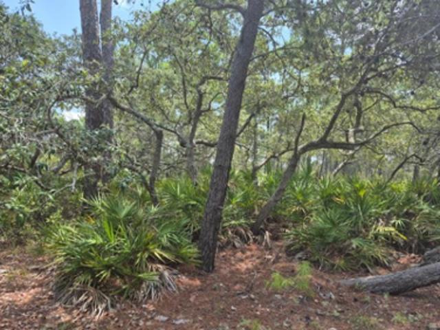 Land for sale in Panacea, Florida