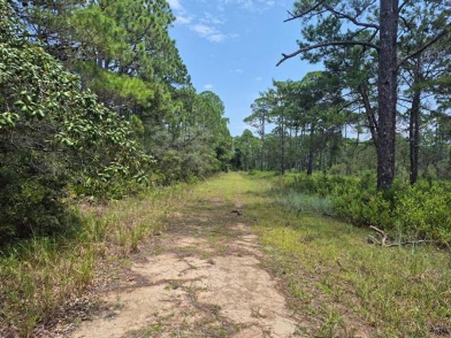 Land for sale in Panacea, Florida