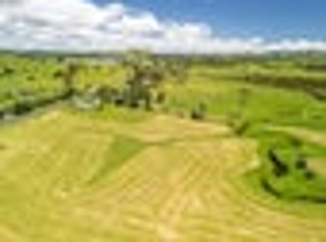 Land for sale in Karetu, Northland