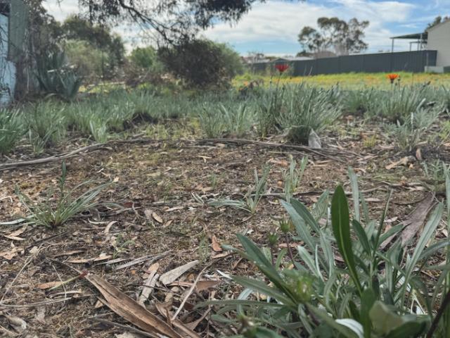 Property for sale in Wagin, Western Australia