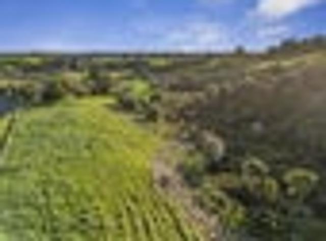 Land for sale in Waikato