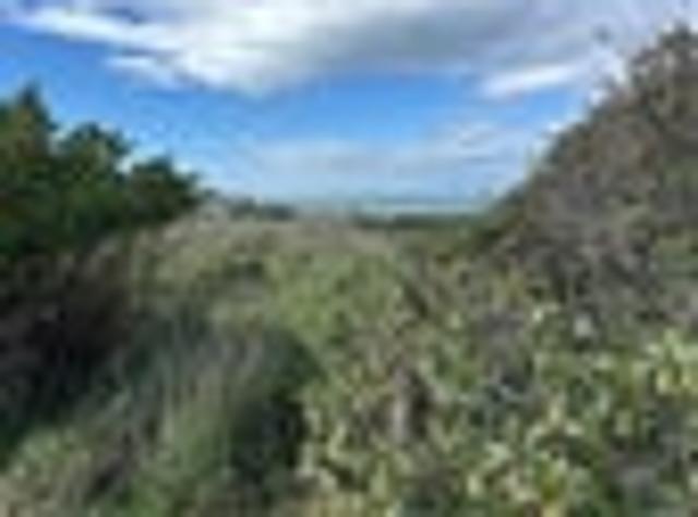 Land for sale in Otakou