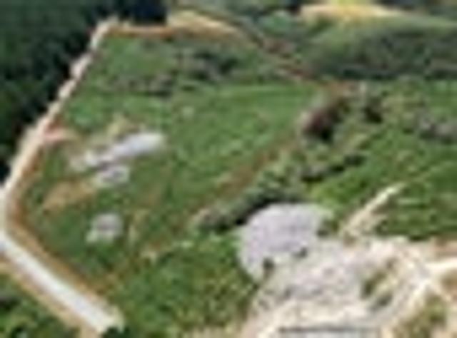 Land for sale in Otakou