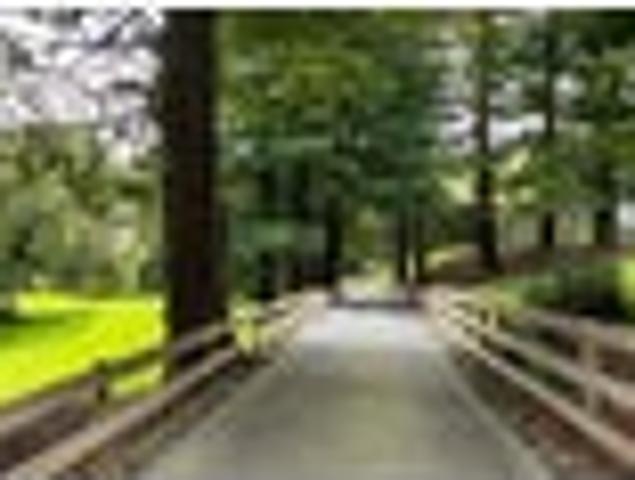 Land for sale in Kawau Island