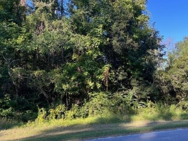 Land for sale in Havelock
