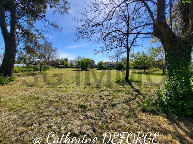 Terrain vente à Prignac-et-marcamps