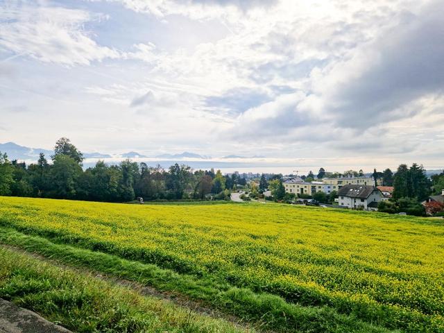Villa kaufen in Prilly