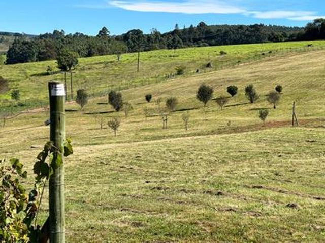 Land for sale in Umgungundlovu, Kwazulu-natal