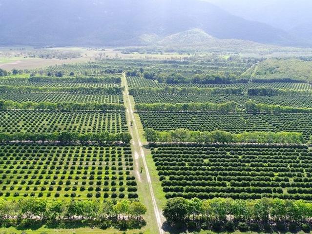 Acreage for sale in Mount Surround, Queensland