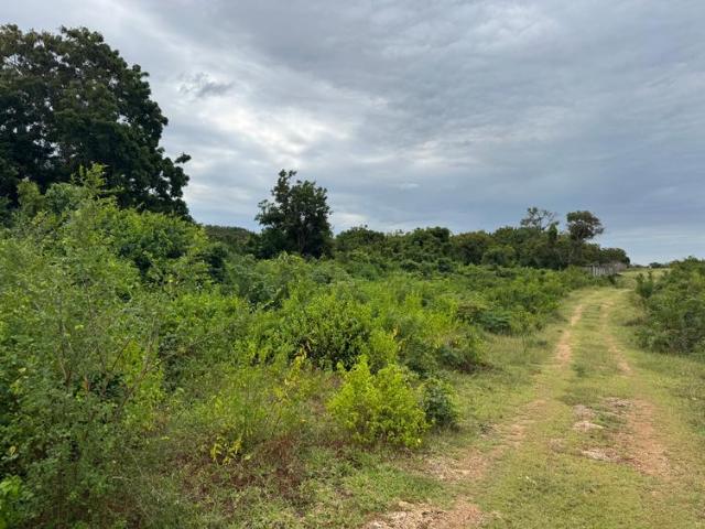 Land for sale in Vipingo, Kilifi