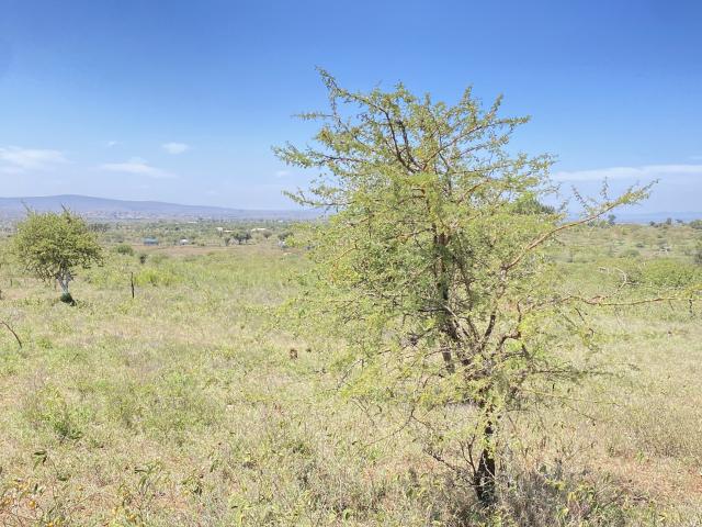 Land for sale in Kilome, Makueni
