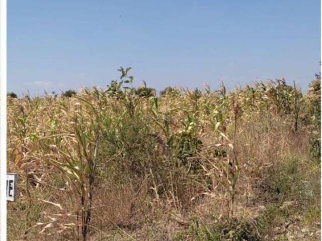 Land for sale in Murang'a
