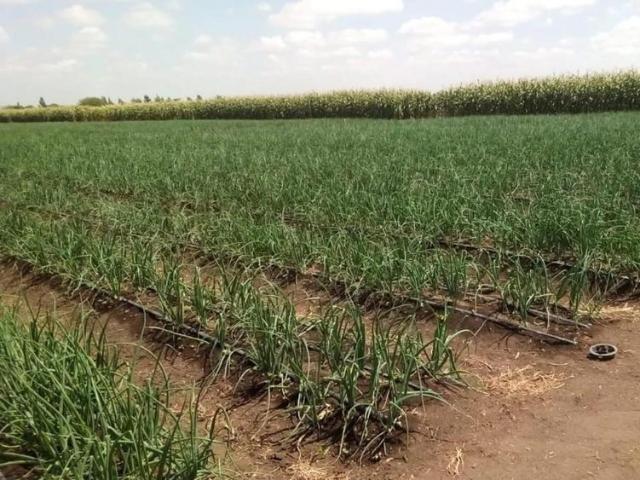 Land for sale in Matapato, Kajiado