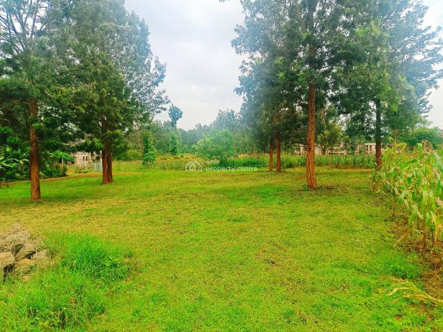 Land for sale in Ruiru, Kiambu