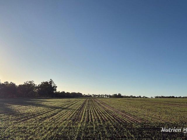 Property for sale in Boundain, Western Australia