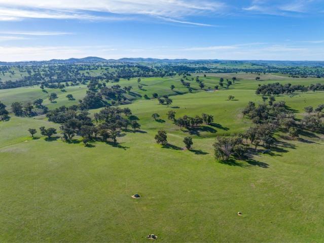 Property for sale in Jugiong, New South Wales